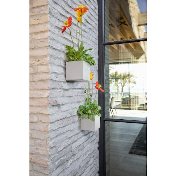 Geo Cube 5 in. White Plastic Hanging Planter (2-Pack)