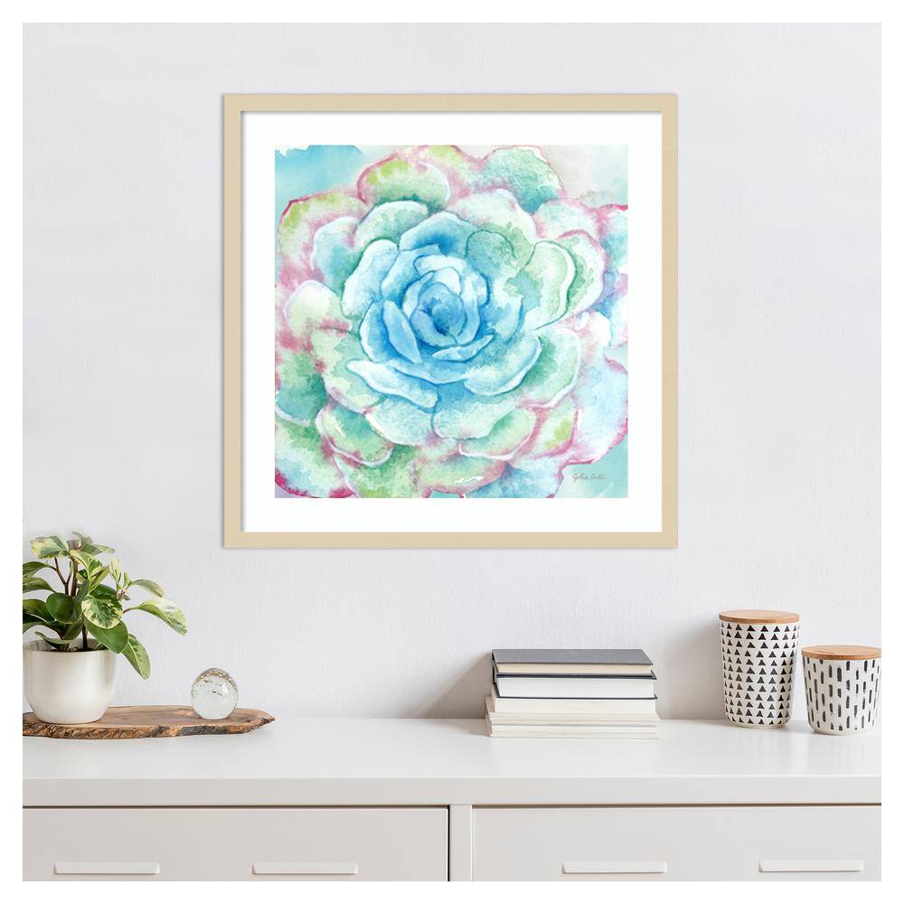 Sweet Succulents I Svelte Natural Framed Graphic Art Print