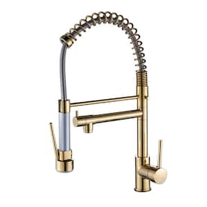 Contemporary Spring Single Handle Pull Down Sprayer Kitchen Faucet in Gold, Kitchen Sink Faucet with 2-Spout