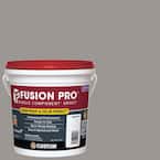 Fusion Pro #165 Delorean Gray 1 Gal. Single Component Grout