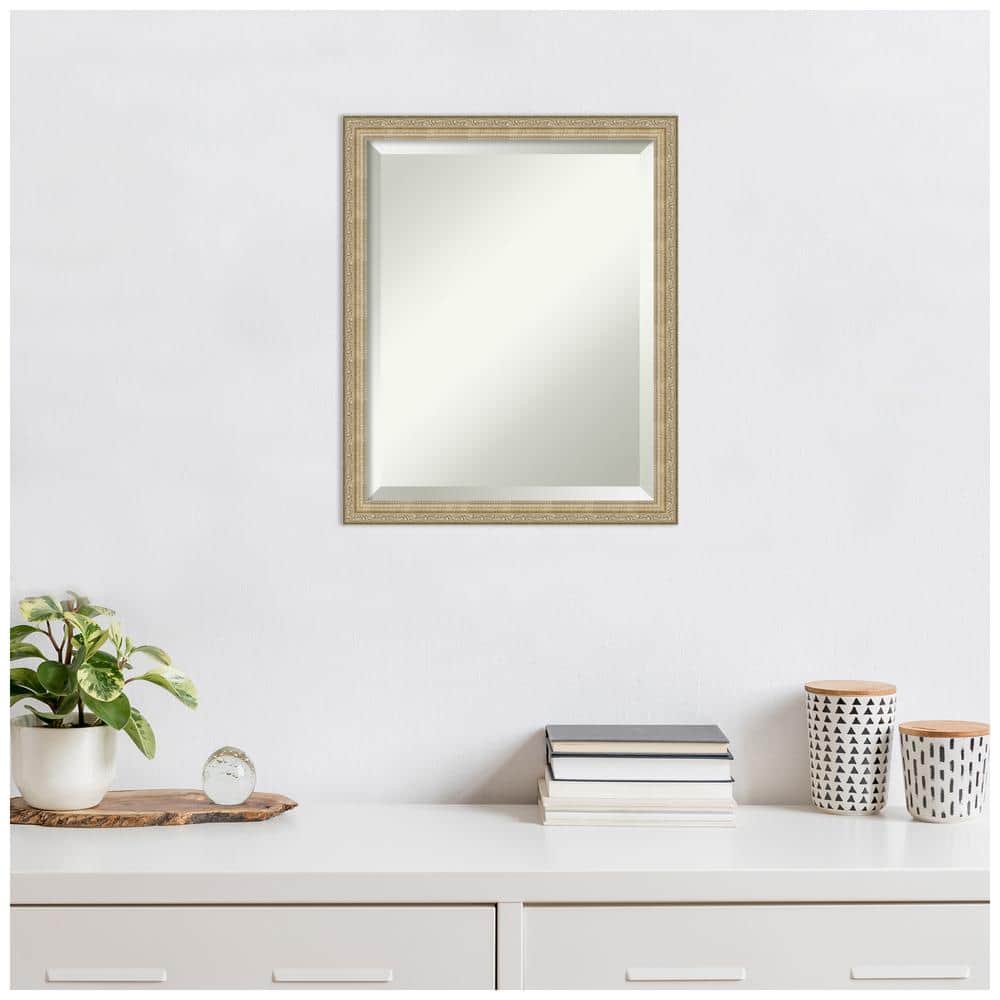 Paris Champagne Bronze Brushed Framed Wall Mirror
