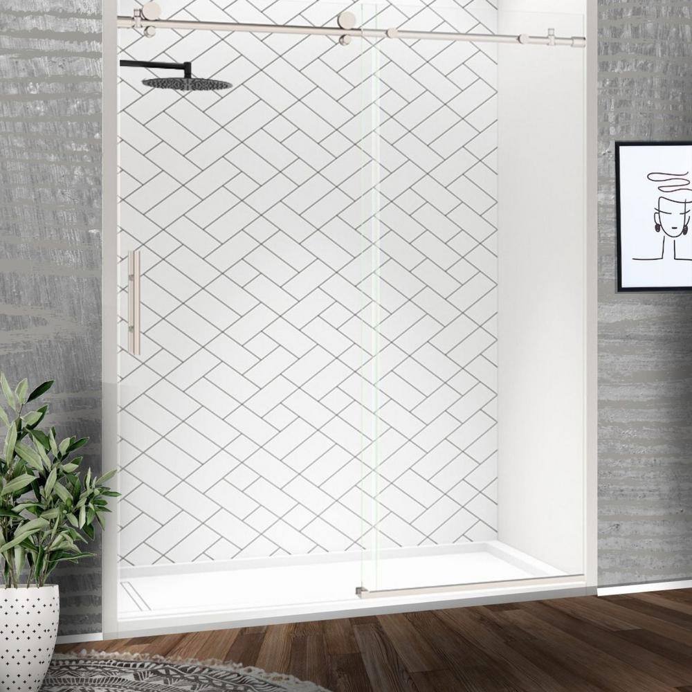 Holcam Eclipse 60 in. W x 74 in. H Frameless Sliding Shower Door in