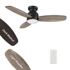 Trendsetter II 48 in. Integrated LED Indoor/Outdoor Black Smart Ceiling Fan with Light, Remote Works W/Alexa/Google Home