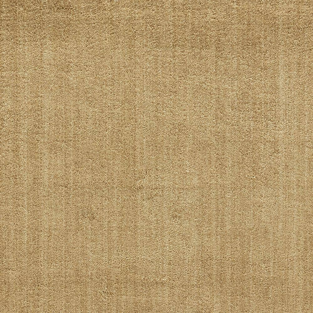 6 in. x 6 in. Texture Carpet Sample - Supreme - Color Beige price history on PriceWatchPro