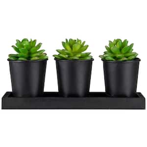 Set of 3 Mini Artificial Potted Succulents with Wood Planter 5 in.