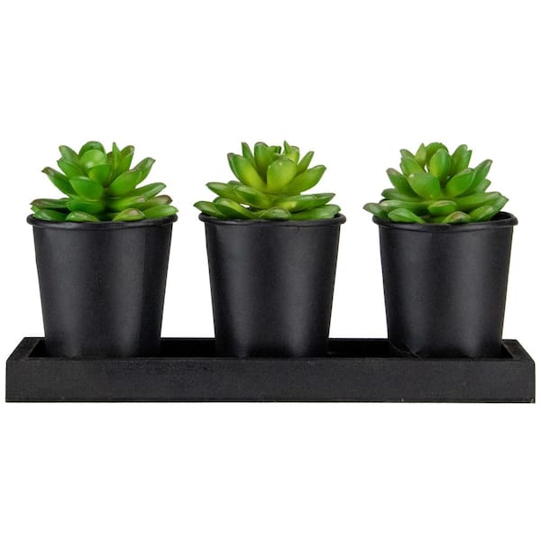 Northlight Set of 3 Mini Artificial Potted Succulents with Wood Planter 5 in.
