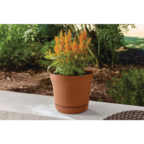 12 in. Anne Terra Cotta Plastic Planter (12 in. x 11 in.) with Drainage Hole and Attached Saucer