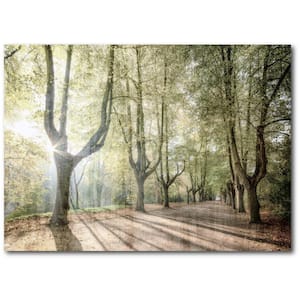Sunlight Streams 20 in. x 24 in. Gallery-Wrapped Canvas Wall Art