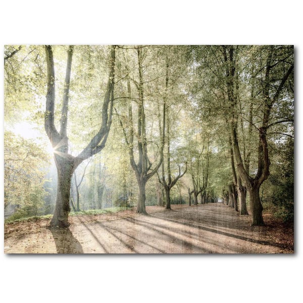 Rolled Canvas Prints | Unstretched Canvas Photos