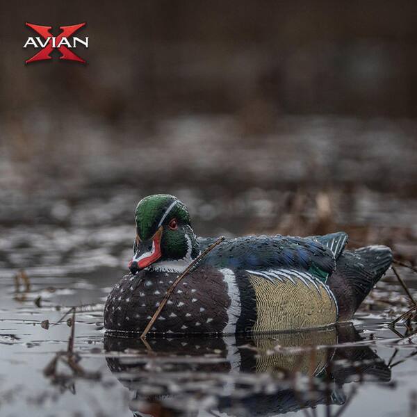 Topflight Wood Ducks, Realistic Floating Decoys, 12-Pack