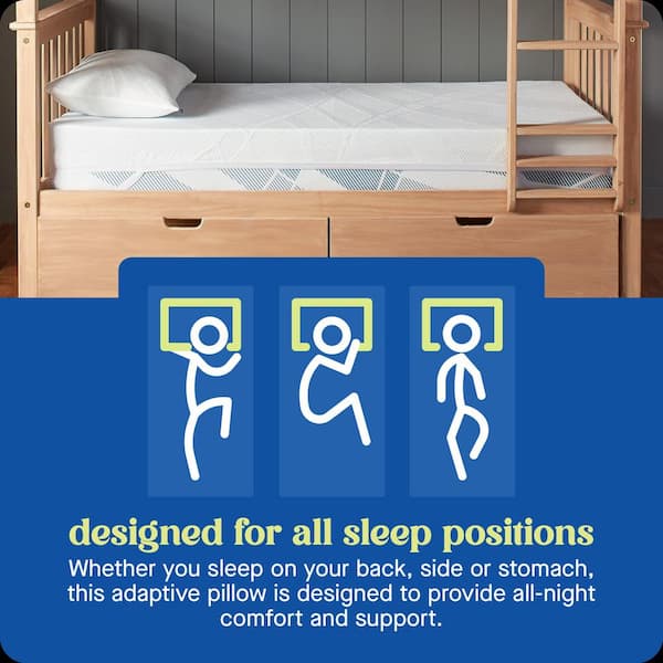 Dreamlife Shredded Foam Standard Pillow
