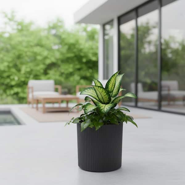Serene 3 Gal. Black Plastic Indoor/Outdoor Planter with Drainage