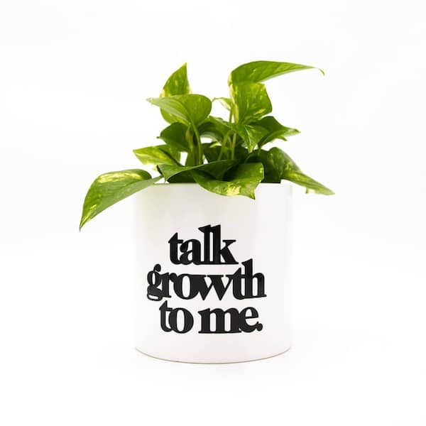 Plant Economy 6 in. White Ceramic Indoor Talk Growth to Me Planter