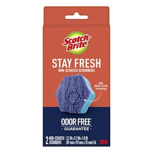 3.8 in. Scrub Dots Stay Fresh Non-Scratch Scrubbers (2-Pack)
