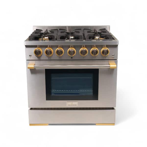 36 in. 6 Burner Freestanding Professional Gas Range
