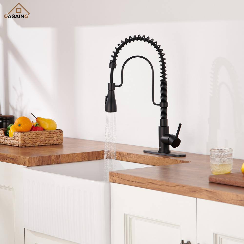 Matte Black Stainless Steel Pull-Down Kitchen Faucet with Spray