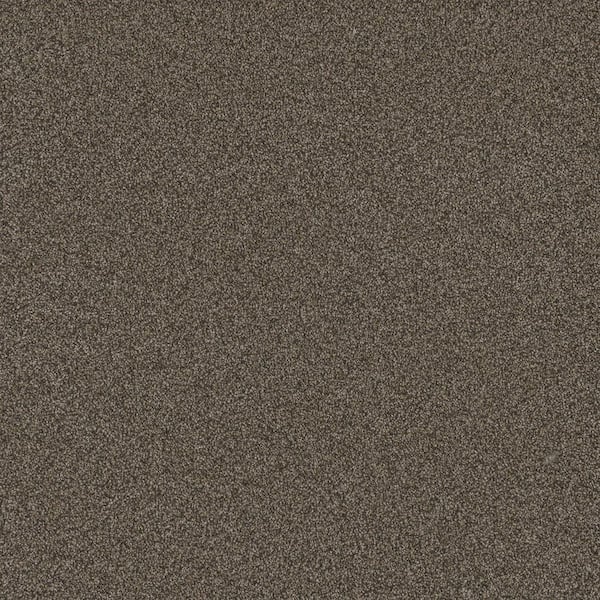 Harpstring I-Path Brown-60 oz. SD Polyester Texture Installed Carpet