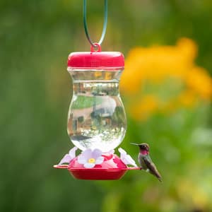 Pink 24 oz. Top-Fill Glass Hummingbird Feeder