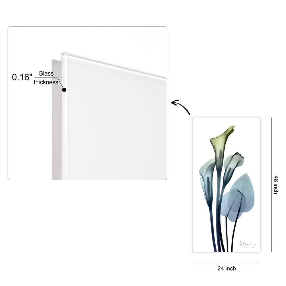 Calia Lily X-Ray Tempered Glass Wall Art, 24" x 48"