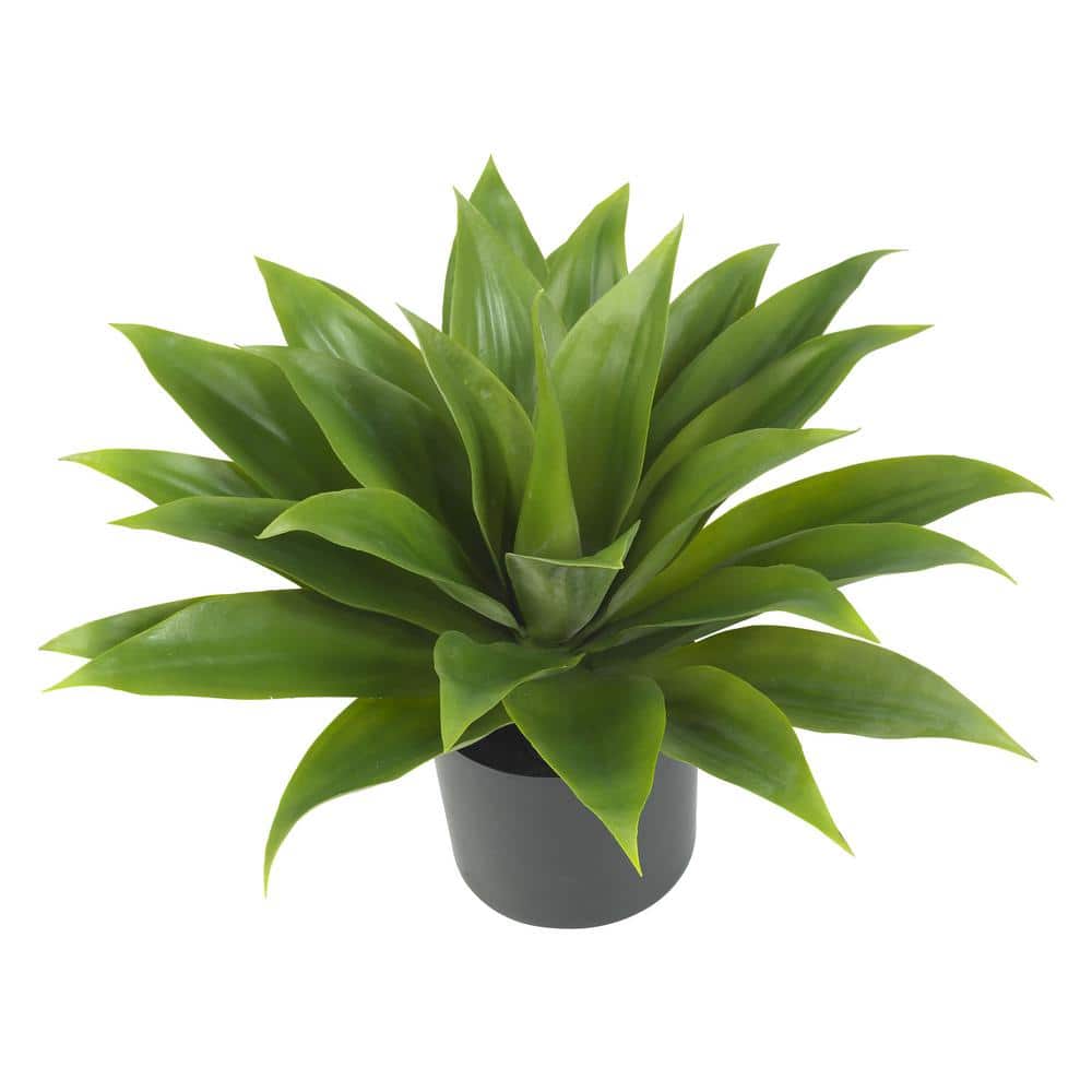 25" Green Silk Agave Plant in Black Plastic Pot