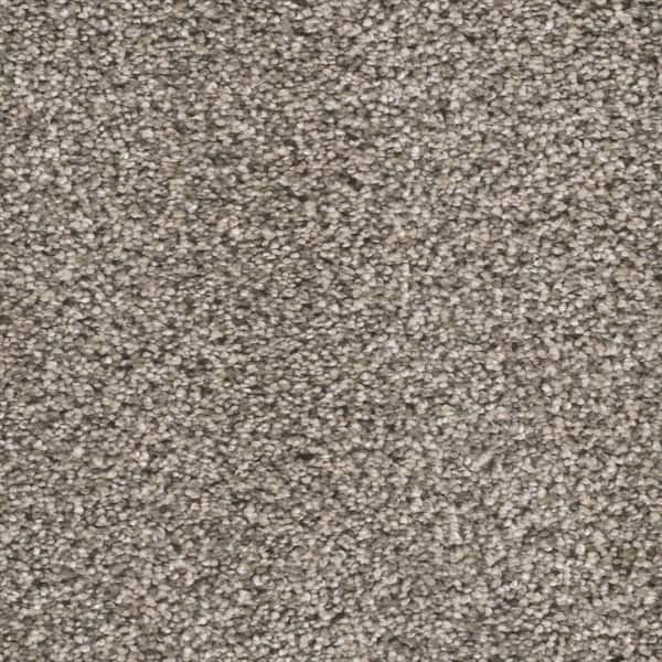 Home Decorators Collection Fall Skies II  - Cider Mill - Gray 65 oz. SD Polyester Texture Installed Carpet
