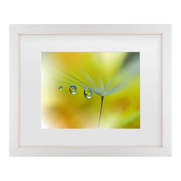 Trademark Fine Art Juliana Nan Sunbeam III Matted Framed Photography Wall Art 18 in. x 22 in.