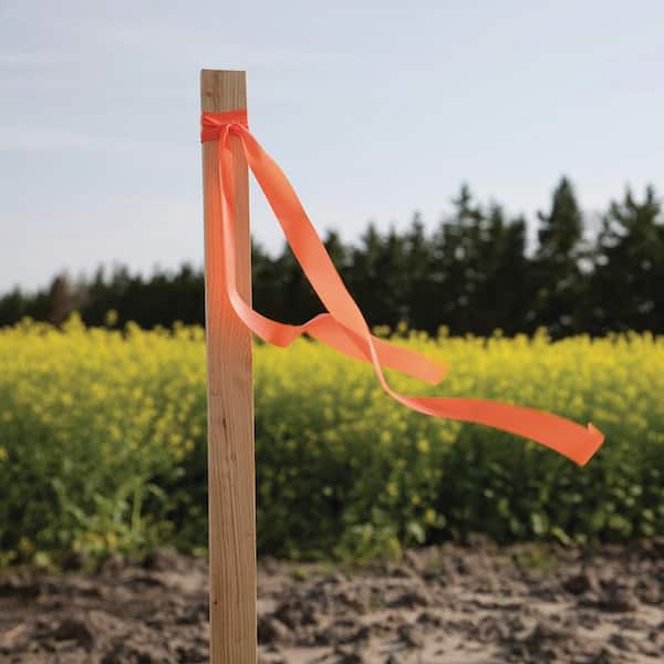 2 ft. Wood Grade Stake (24-Pack)