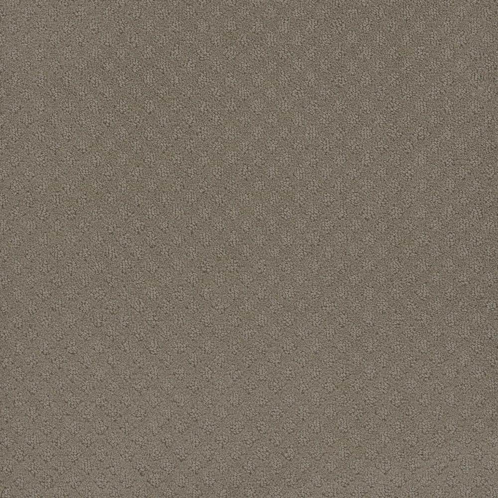 8 in. x  8 in. Loop Carpet Sample - Camelia Lane -Color Hartford price history on PriceWatchPro