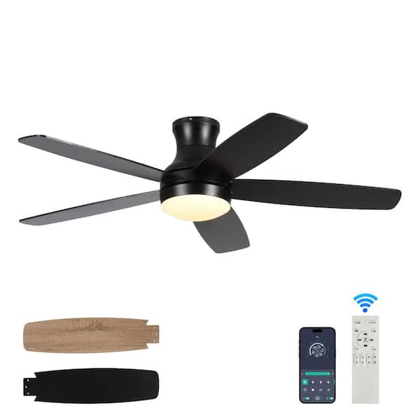 52 in. Smart Indoor Black Low Profile Standard Ceiling Fan with Dimmable LED APP Remote and Two Blade Colors