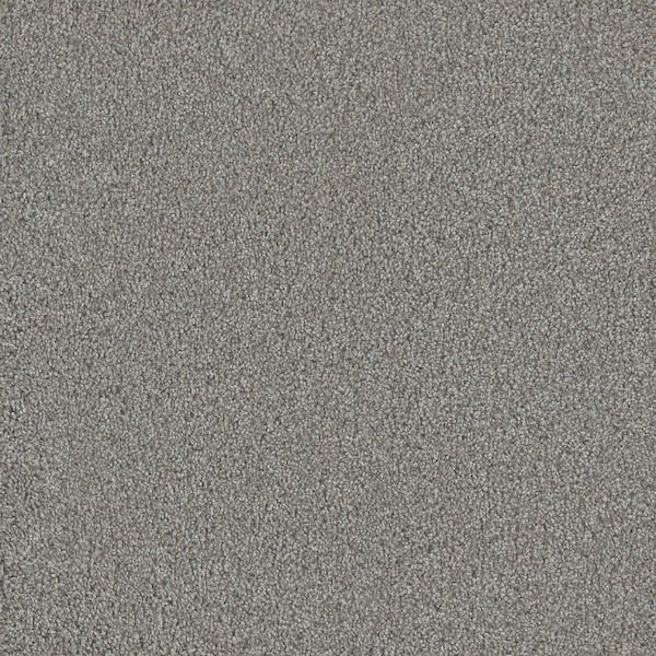 Meringue II-Feathery Gray-54 oz. SD Polyester Texture Installed Carpet