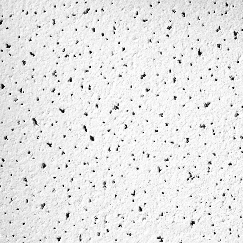 Armstrong CEILINGS Fine Fissured 1 ft. x 1 ft. Beveled Tongue and