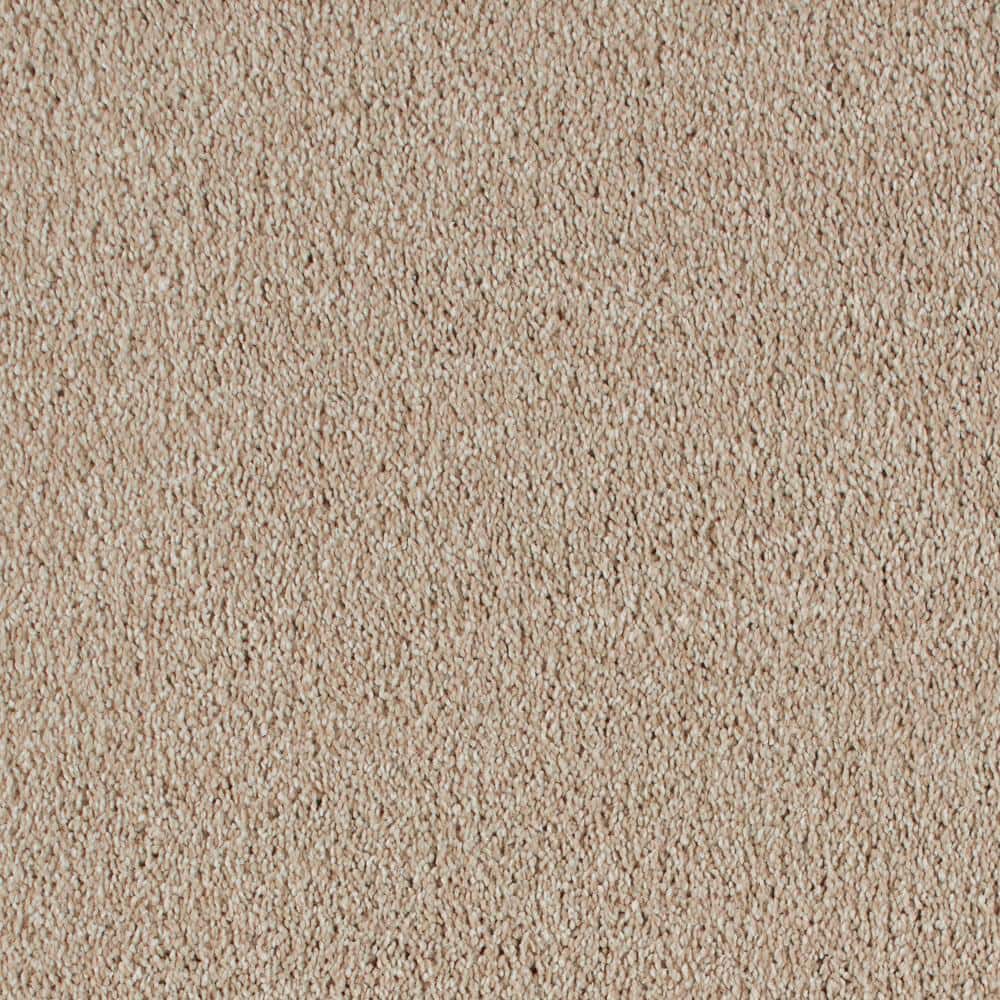 8 in. x 8 in. Texture Carpet Sample - Northern Hills II -Color Wheat price history on PriceWatchPro