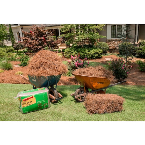 USA PINESTRAW Box of 160 Sq.ft. Long Needle Pine Straw Mulch  HD-88-3EQ8-R75E - The Home Depot