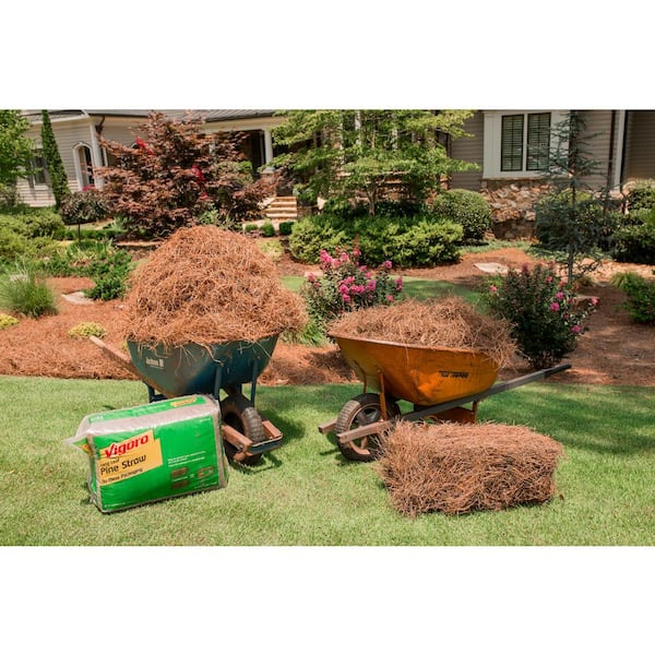 Vigoro - 3,500 sq. ft. Bagged Long Leaf Pine Needle Mulch Pallet, 35-Count (100 sq. ft./unit)