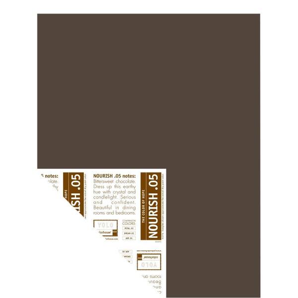 YOLO Colorhouse 12 in. x 16 in. Nourish .05 Pre-Painted Big Chip Sample