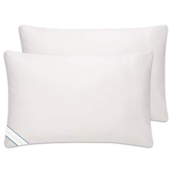 Soft Down Alternative King Pillow (Set of 2)