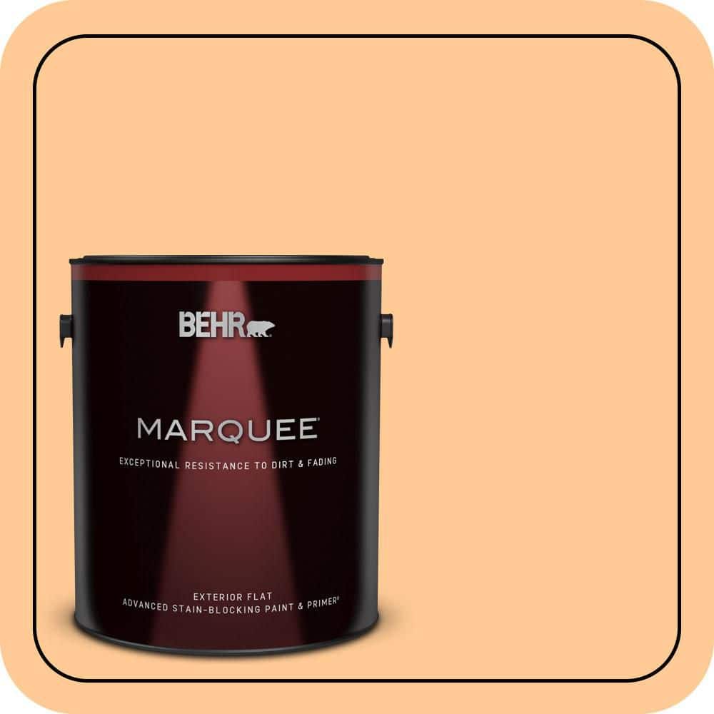 1 gal. #280B-4 Apricot Light Flat Exterior Paint & Primer price history on PriceWatchPro