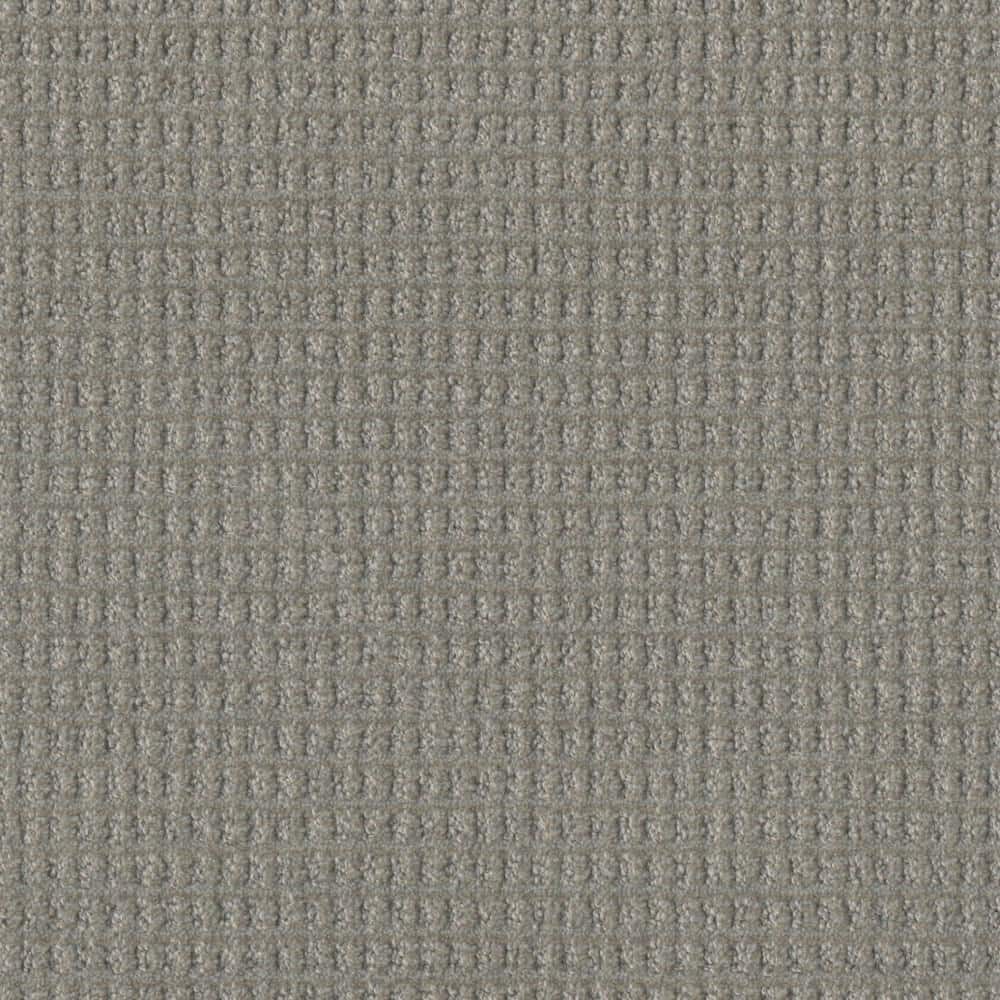 8 in. x 8 in. Pattern Carpet Sample - Amaryllis - Color Glee price history on PriceWatchPro
