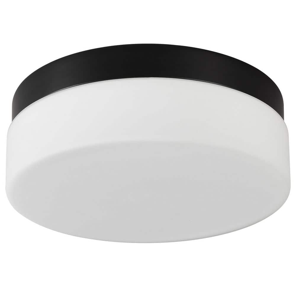 12 in. Black 24-Watt Color Selectable LED Flush Mount Disk Light Ceiling Light Fixture price history on PriceWatchPro