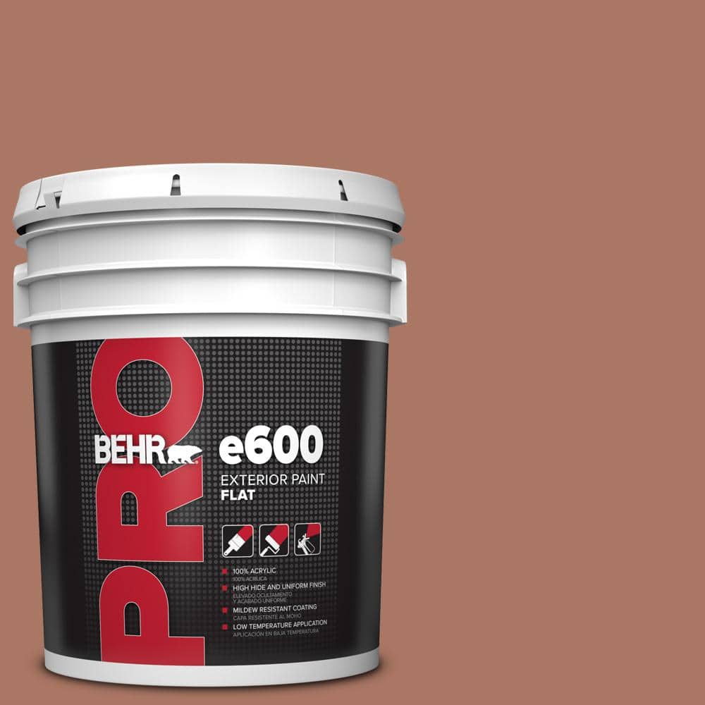 5 gal. #210F-6 Chutney Brown Flat Exterior Paint price history on PriceWatchPro
