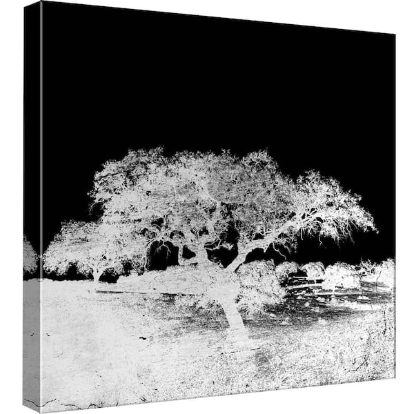 PTM Images 15 in. x 15 in. ''Screened Tree H'' Printed Canvas Wall Art