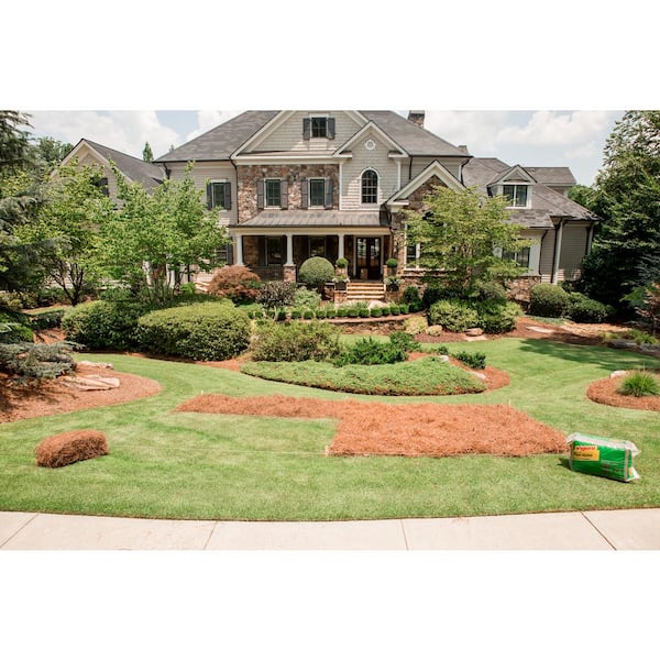 Vigoro - 3,500 sq. ft. Bagged Long Leaf Pine Needle Mulch Pallet, 35-Count (100 sq. ft./unit)
