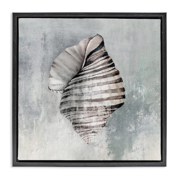 Organic Twisted Seashell by Eli Jones Black Floater Frame Coastal Graphic Art Print 18 in. x 18 in.