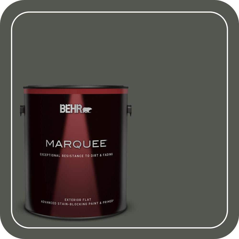 1 gal. #ECC-47-3 Twilight Forest Flat Exterior Paint & Primer price history on PriceWatchPro