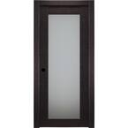 32 in. x 80 in. Avanti 207 Black Apricot Right-Hand Solid Core Wood 1-Lite Frosted Glass Single Prehung Interior Door