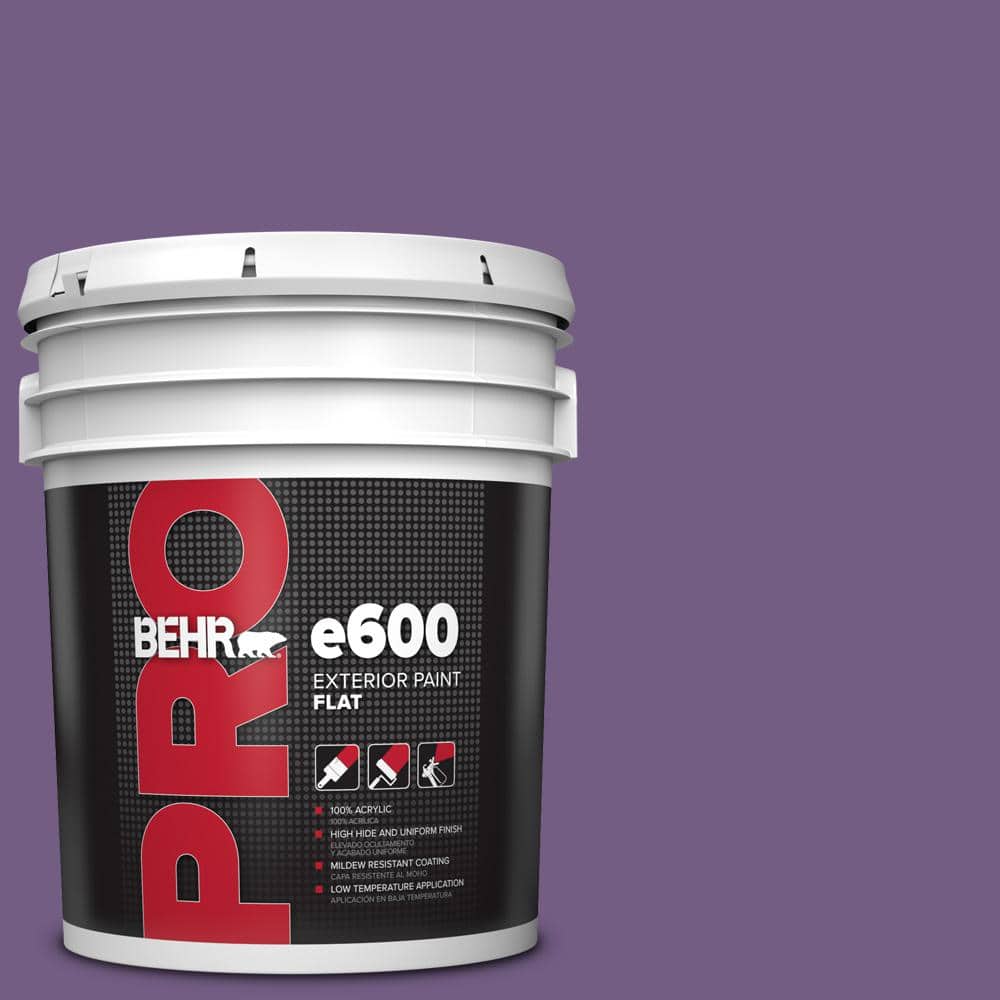 5 gal. #650B-7 Mystical Purple Flat Exterior Paint price history on PriceWatchPro