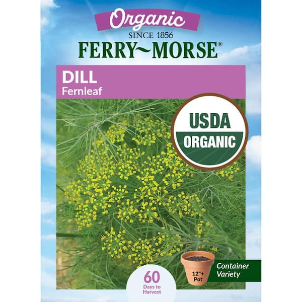 Organic Dill Fernleaf Herb Seeds