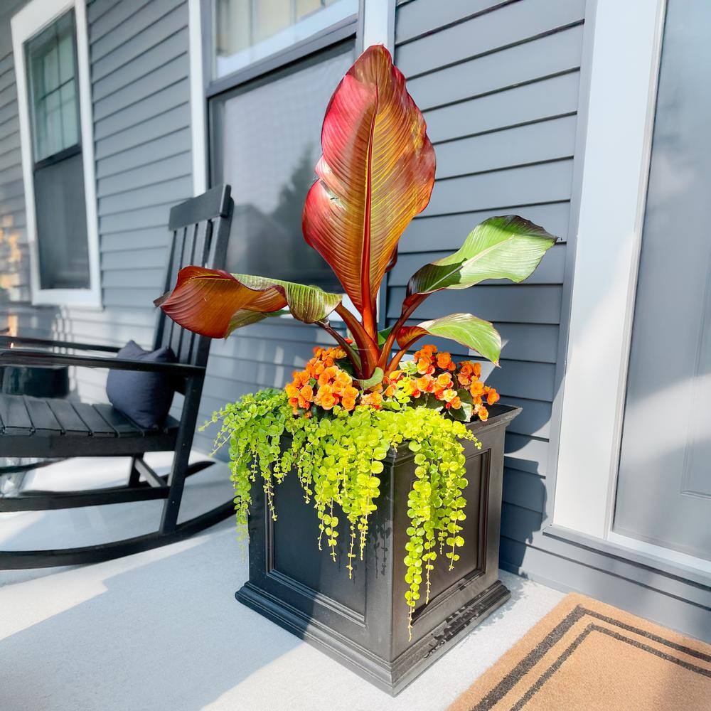 Fairfield Square 20" Black Self-Watering Polyethylene Outdoor Planter