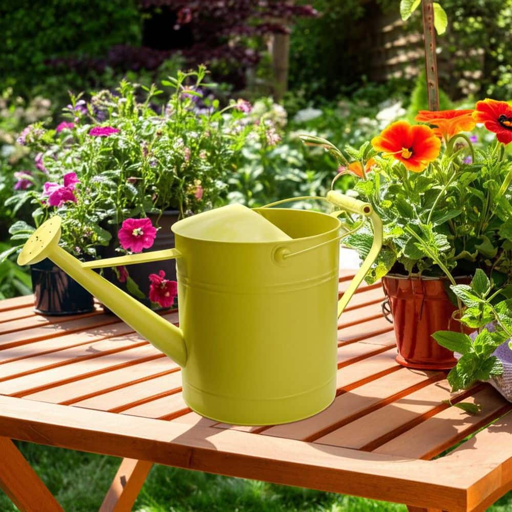 Sitemapcdatahttpsaktuelinfbizidhome Depot Watering Can