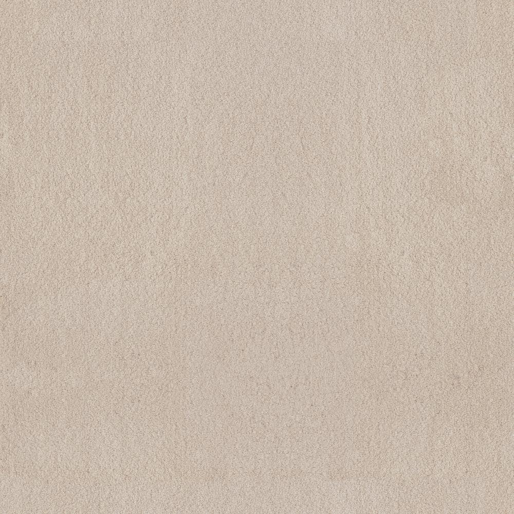 8 in. x 8 in. Texture Carpet Sample - Dreamy Daze I -Color Sonata price history on PriceWatchPro